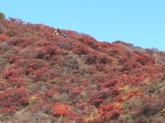 -水峪民俗村