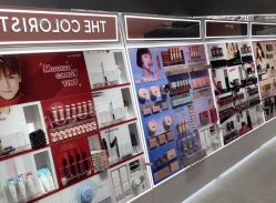 -THE COLORIST调色师