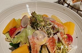 Shrimp and Mango Salad