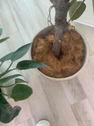 -HEYAN荷妍专业脱毛连锁机构