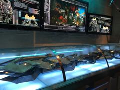 -变形金刚3D对决之终极战斗