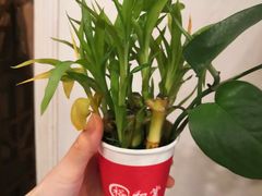 -裕和堂中医推拿艾灸(太古汇臻品店)