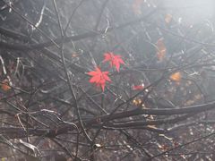 -崂山巨峰游览区