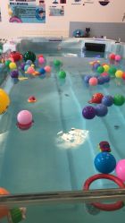 -香港3861国际母婴生活馆(后海雅园店)