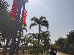 -安平桥