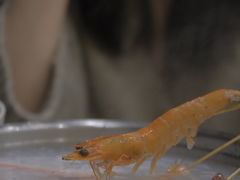 -吉友粥底火锅(方斜路店)