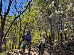 -大觉寺-停车场