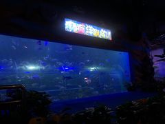 -白鹿仓冰雪海洋世界