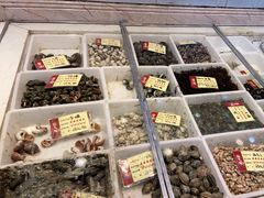 -胖大嫂渔家排档(半边山店)