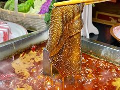 -蜀江龙火锅(339店)