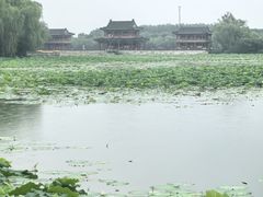 -颐和园