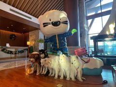 -长白山万达国际滑雪场