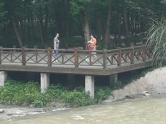 -桤木河湿地公园