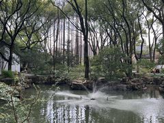 -上海醉白池公园