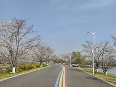 -羊山湖公园