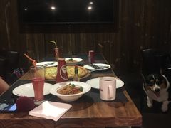 -百好乐宠物友好餐厅(朝外大街店)