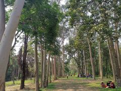 -广西壮族自治区药用植物园
