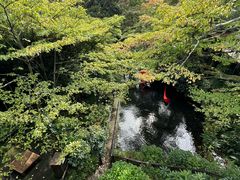 -雕刻之森美术馆