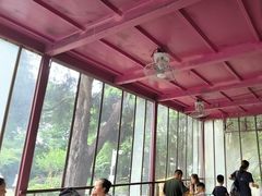 -鸡鸣汤包(红山动物园店)