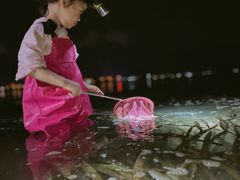 -海南清水湾莱佛士酒店