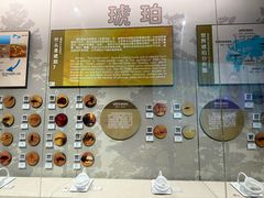 -辽宁古生物博物馆