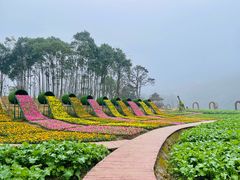 -广州市石门国家森林公园