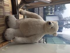 泰迪熊博物馆-济州岛泰迪熊博物馆