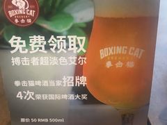 -Boxing Cat Brewery拳击猫精酿啤酒馆(永福店)