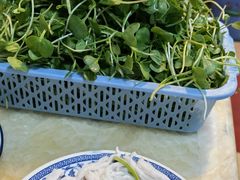 萝卜苗-华哥新鲜猪精品美食