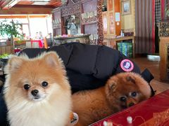 -玛拉亚藏餐厅