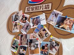 -DQ·蛋糕·冰淇淋(五角场万达店)