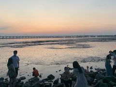 -宝安西湾红树林湿地公园