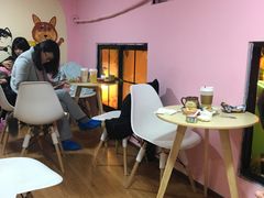 大堂-李小姐の猫咖啡馆(五角场店)