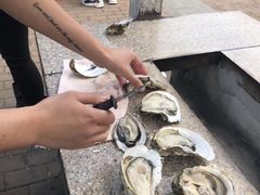 -吴淞炮台湾湿地森林公园烧烤区