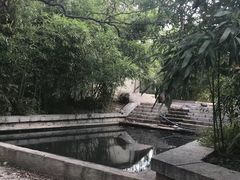 -樱花山风景区