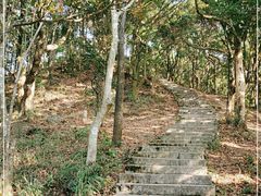 -梧桐山风景名胜区