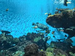 -鹿儿岛水族馆
