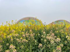 -中国天府农业博览园