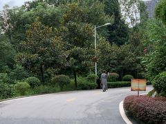 -翠屏公园