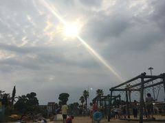 -碧海金沙
