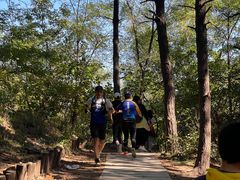-沈阳辉山风景区