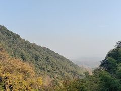 -韬光茶庵