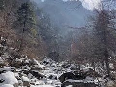 -青峰峡国家森林公园