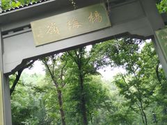 -东航云逸酒店(九溪烟树店)