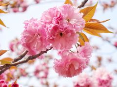 -白塘生态植物园