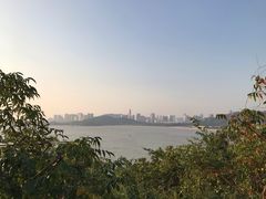 -野狸岛