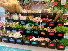 -盒马鲜生(大成店)