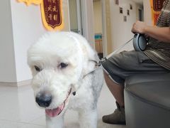 -谐和贝康宠物医院24小时·宠保定点(急重症转诊中心)