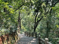 -广州市白云山风景名胜区