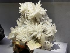 -湖南省地质博物馆